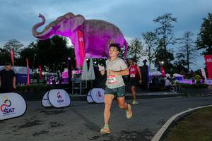 BIB: 
                            <button type="button" onclick="openModal(26529672)" class="btn btn-primary btn-sm float-right btn-popup" data-toggle="modal" data-target=".modal-high-quality">
                        <i class="fas fa-shopping-cart"></i> Add to Cart
                    </button>
                                            <button type="button" onclick="isThisMe(26529672, true)" class="btn btn-success btn-sm float-right btn-popup btn-isme hidden" data-toggle="tooltip" data-placement="bottom" title="นี่คือรูปของคุณใช่ไหม คลิกที่นี่เพื่อเอาเข้าอัลบั้ม">
                        <i class="fas fa-plus"></i> Add to album
                    </button>
                    <button type="button" onclick="isThisMe(26529672, false)" class="btn btn-warning btn-sm float-right btn-popup btn-isnotme hidden">
                        <i class="fas fa-ban"></i> Remove from album
                    </button>